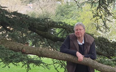 Wenn Mauern und Bäume erzählen