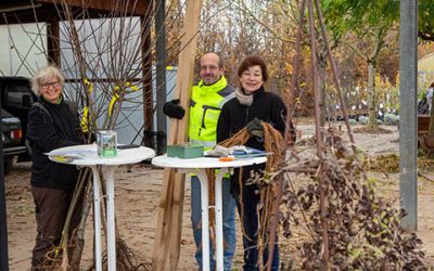 325 Obstbäume für die Blühende Bergstraße ausgegeben