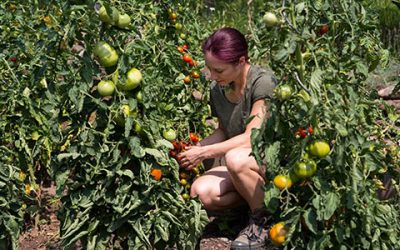 Urban Gardening mit Landerlebnis Weinheim