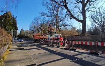 Barrierefrei zum Schlosspark