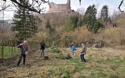 Sahnestück im Umfeld der Ruine Windeck wieder flott gemacht