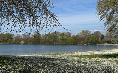 Waidsee-Saison beginnt am 10. Mai