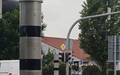 Familiennachzug für „Fridolin“