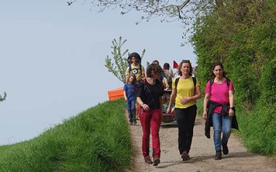 Jetzt wird das Wandern rund