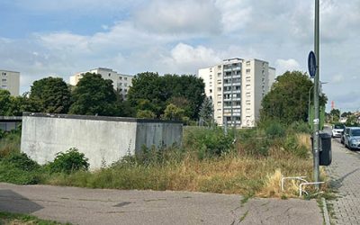 Gemeinderat steht zur neuen „Kuhweid“