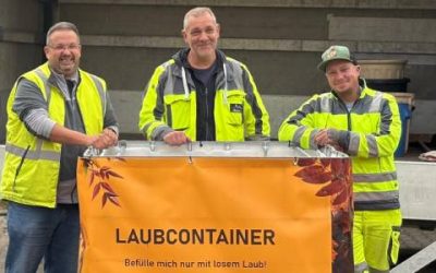 Weg mit dem Laub!