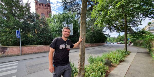 Jetzt Bäume pflanzen für das Klima