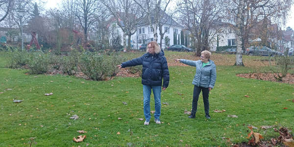 Zwischen Rosen ein Ruf nach Frieden