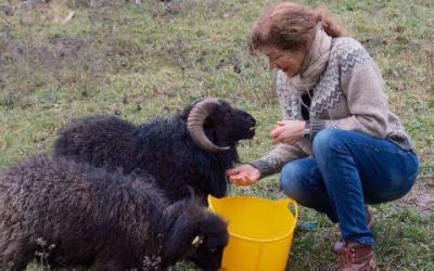 Die goldenen Mäulchen vom Blütenweg