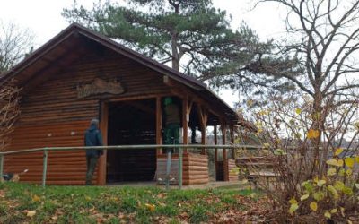 Vogesenhütte wie neu