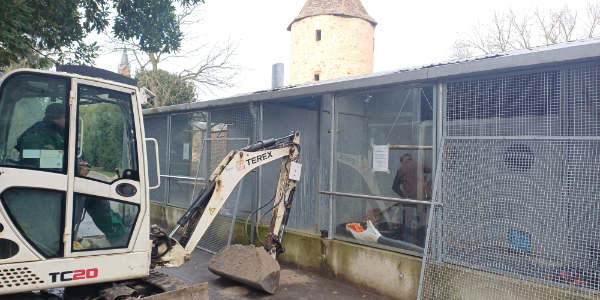 Jetzt fehlen nur die Vögel