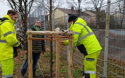 Neue Bäume für gute Luft