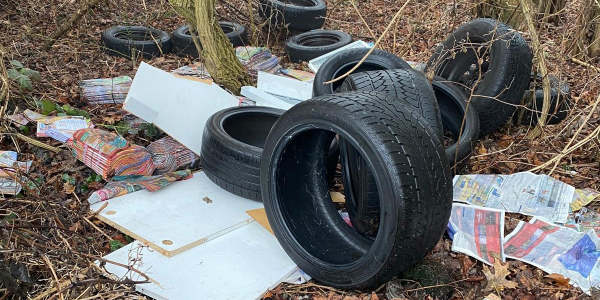 Altreifen am Waidsee entsorgt