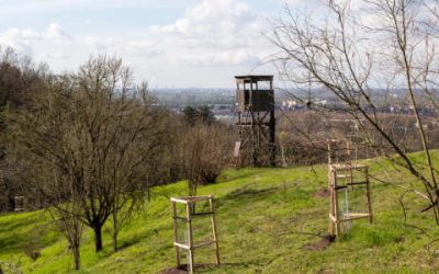 Blühende Bergstraße stellt sich vor