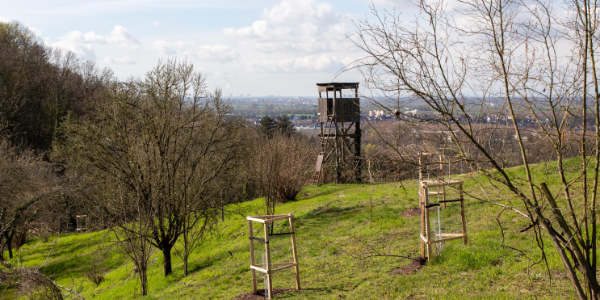 Mit Herz und Heckenschere