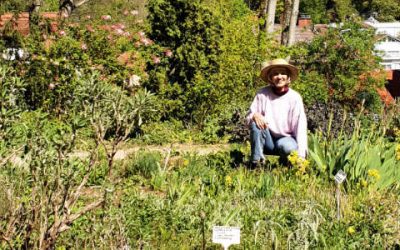 Dem Heilkräutergarten helfen