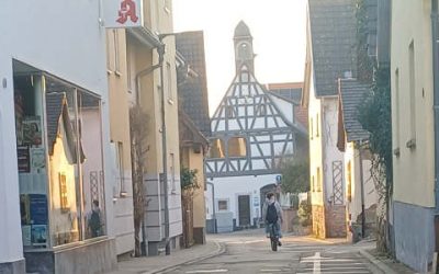 Sommerfrische für die Sommergasse