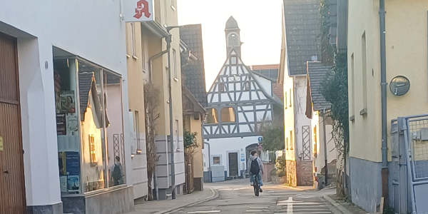 Sommerfrische für die Sommergasse