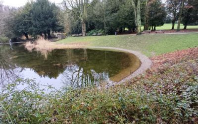 Jetzt wandern sie wieder