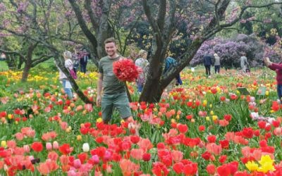 Hermannshof wird immer beliebter