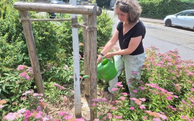 Gemeinsam für ein kühleres Weinheim