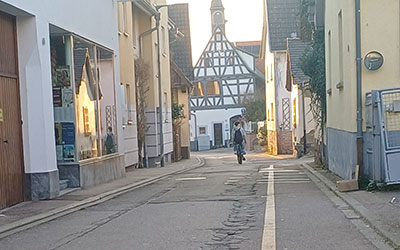 Sommerfrische für die Sommergasse