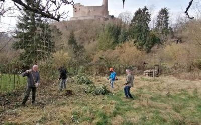 Helfer für Arbeitseinsatz bei der Burg Windeck gesucht