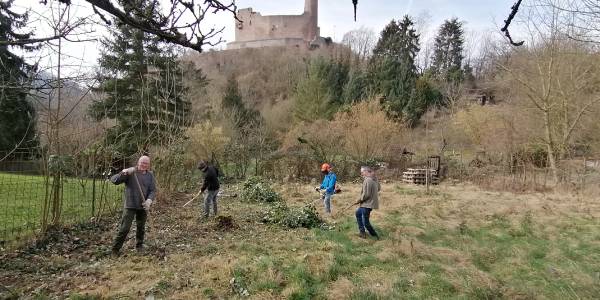 Helfer für Arbeitseinsatz bei der Burg Windeck gesucht