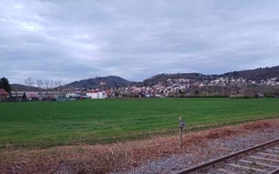 Drei Jahre Ruhe für die Hintere Mult